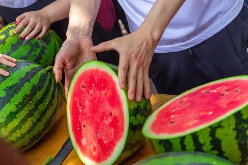 免费吃瓜聚集地,畅享娱乐盛宴的绝佳去处 第1张 免费吃瓜聚集地,畅享娱乐盛宴的绝佳去处 第1张